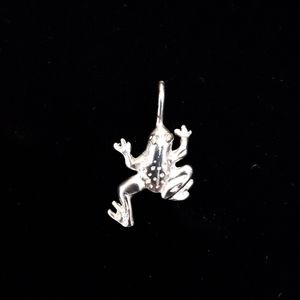 Sterling Silver tree frog pendant
